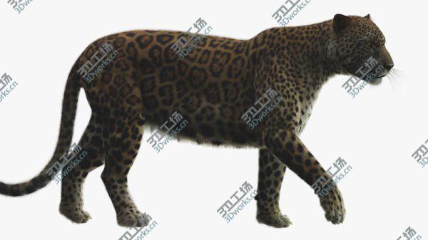 images/goods_img/20210312/3D Jaguar Rigged model/1.jpg